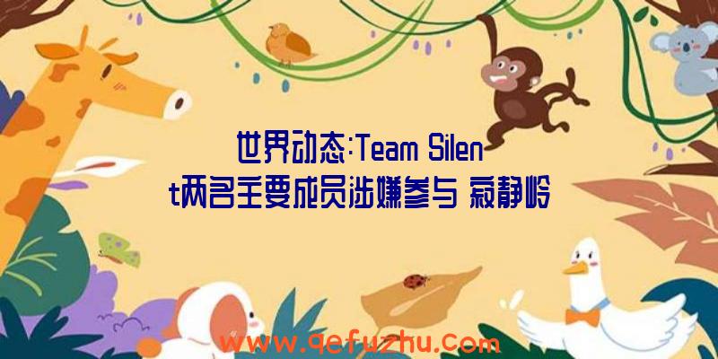 世界动态:Team